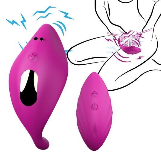 Luxury Remote Control Knicker/Panty Vibrator