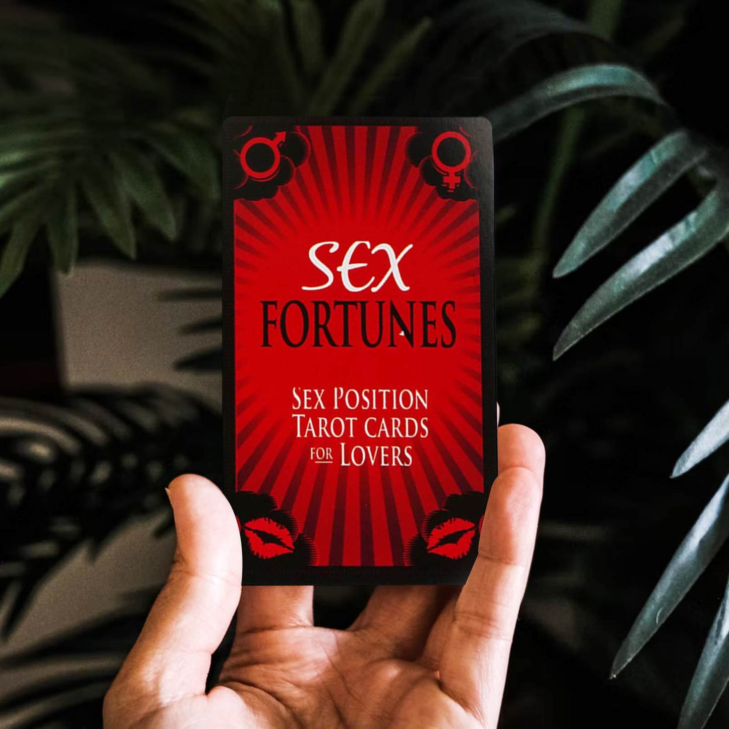 Sex Fortunes – Sex Position Tarot Cards For Lovers